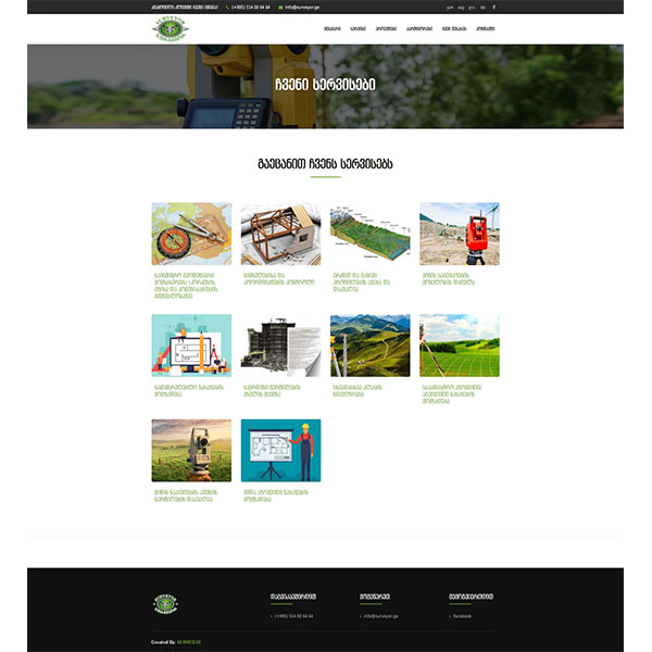 surveyorge.ge